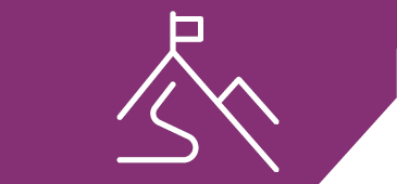 3Cardiconsvaluepropvpurple 365X1706 3Cardiconsvaluepropvpurple 365X1706