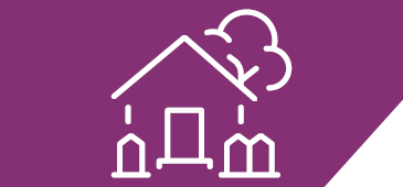 3Cardiconsvaluepropvpurple 365X17016 3Cardiconsvaluepropvpurple 365X17016